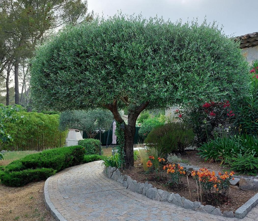 Peymeinade Gite Les Pins Climatise Piscine Chauffee Jardin מראה חיצוני תמונה
